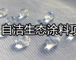 30万元适合投资的五个优质功能涂料项目，为你推荐