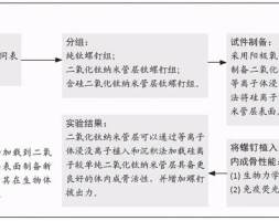 钛螺钉表面含硅二氧化钛纳米管层的体内成骨性能