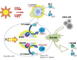 看哈哈！你家除甲醛上当受骗没？