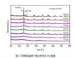 碳纤维及其光催化   王轲翻译