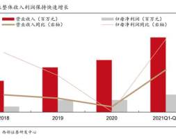 锂电行业全球勃姆石龙头壹石通研究报告