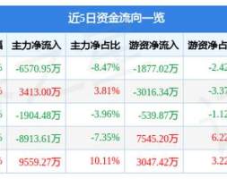 璞泰来10月20日主力资金净卖出6570.95万元