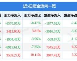 璞泰来10月20日主力资金净卖出6570.95万元