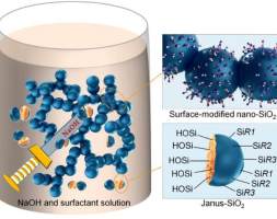 河南大学：表面改性-化学破碎制备Janus-SiO2纳米颗粒