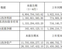 璞泰来：上半年净利润同比增80% 拟定增募资不超85亿元