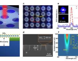 国家纳米中心等在硅衬底上单层WS2二次谐波高效定向性发射研究方面获进展