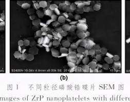 磷酸锆碟片粒径对提高二氧化钛悬浮液分散稳定性的影响