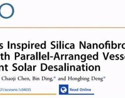 芦苇叶启发的二氧化硅纳米纤维气凝胶，用于耐盐太阳能海水淡化