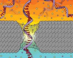 第四代测序：固态纳米孔技术的现状与挑战