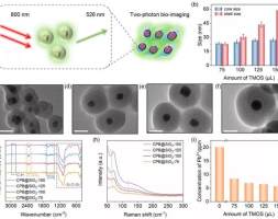 广州大学揭示CsPbBr3@SiO2纳米晶体的双光子发光特性