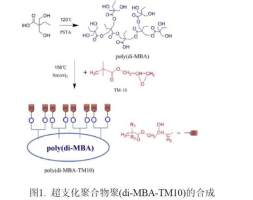 超支化聚(叔丁酸二羟甲基丁酸-缩水甘油酯)/纳米SiO2涂料
