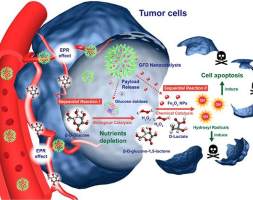 中科院上海硅酸盐所提出“纳米催化医学”，可低毒高效杀肿瘤