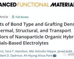 《AFM》：纳米颗粒有机杂化材料基电解质的热、结构和传递行为