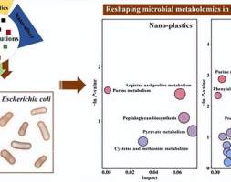 研究揭示微生物在纳米污染胁迫下的代谢失衡行为