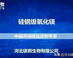 氧化镁在硅钢涂层中的应用