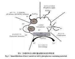 农田土壤重金属污染化学钝化修复研究进展
