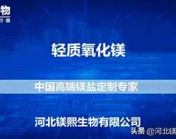 2023-2029年中国轻质氧化镁市场深度评估与投资战略咨询报告