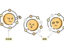 常见的皮肤抗氧化成分有哪些？怎么看护肤级稀土纳米氧化铈？