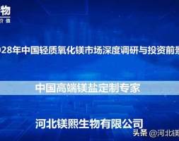 2022-2028年中国轻质氧化镁市场深度调研与投资前景研究报告