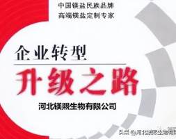 河北镁熙加快转型升级步伐