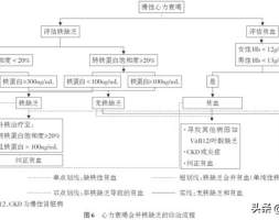 心力衰竭患者铁离子管理