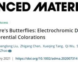苏州纳米所：多彩电致变色技术——“双面神”电致变色器件