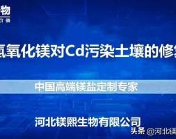 纳米氢氧化镁对Cd污染土壤的修复效应及机理研究