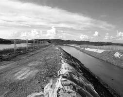 修复一方土地 守护绿色生态