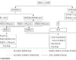 心衰合并铁缺乏，临床诊治十问十答｜临床必备