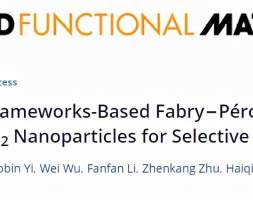 西工大《AFM》：基于MOF封装纳米二氧化钛用于选择性化学传感