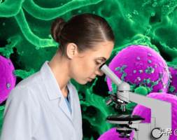 纳米材料正在改变世界  但我们仍然不能确保它们是安全的