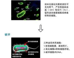 纳米光催化消毒抗菌液的抗菌灭病毒机理