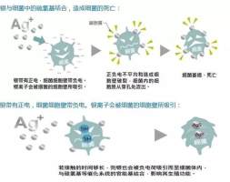 抗菌材料丨纳米银