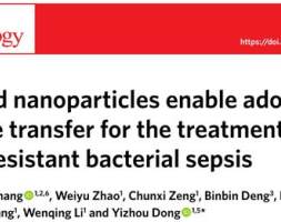 董一洲Nature Nanotechnology：维生素脂质纳米粒子治疗多药耐药细菌脓毒症