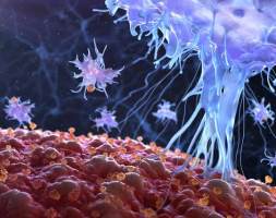 研究发现纳米材料氧化石墨烯可通过肠道微生物组影响免疫系统