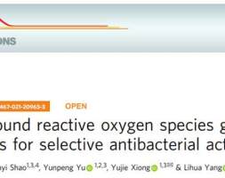 阳丽华熊宇杰｜合作提出高效低毒抗菌纳米酶的构建策略
