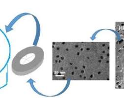 超支化聚合物接枝磁性纳米粒子（MNP）用于清除重金属离子