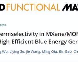 一种MXene/MOF纳米流体膜，实现高效\u0026#34;蓝色能源\u0026#34;!