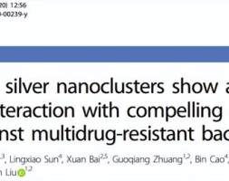 「科研快报」两亲性银纳米团簇用于多重耐药性细菌灭活