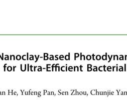 「科研快报」AIEgen插层纳米粘土的光和化学动力抗菌和伤口愈合