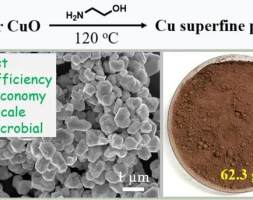 华东师范大学在超细铜颗粒的高效制备及抗菌应用方面取得进展