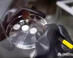 锂电新突破！碳纳米管薄膜让电量提升3~5倍