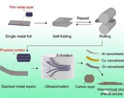 金属纳米片的制备及在锌离子电池负极上的应用