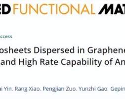 哈工大《AFM》：一种独特工艺制备超薄硅纳米片助力高性能锂电池