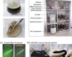 中国科大发展一种新型生物合成法制备纳米复合材料