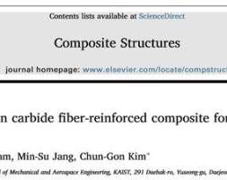 微波吸收结构用碳化硅纤维 朱咸秀  学习翻译