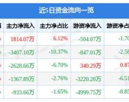 璞泰来（603659）11月23日主力资金净买入1814.07万元