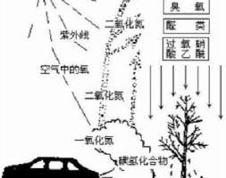 臭氧污染防治新主力，揭秘生物酶臭氧治理新技术