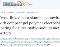 清华大学揭示复合电解质固-液混合离子传输机理及其作用