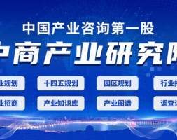 2022年中国硅基负极材料行业市场前景及投资研究报告（简版）